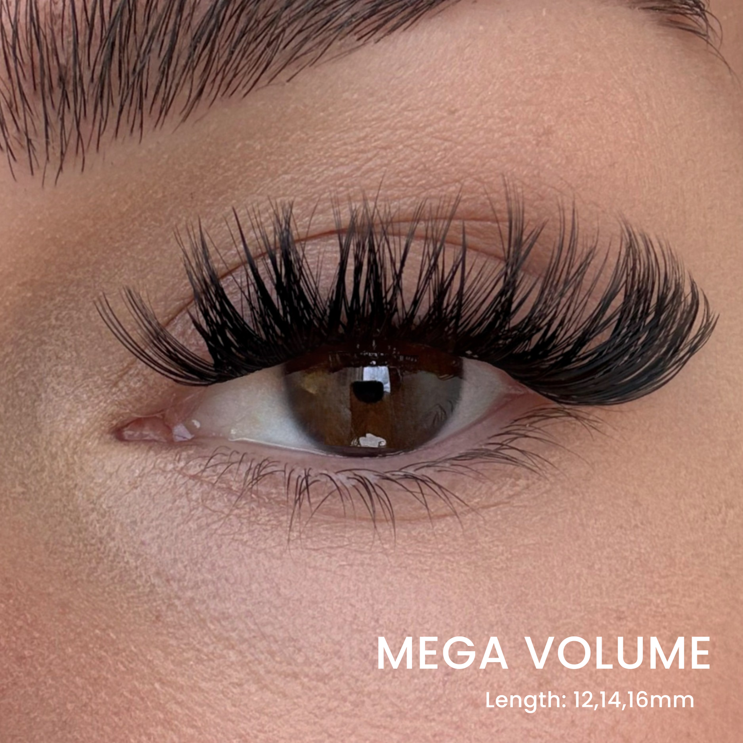 Volumen-Wimpern