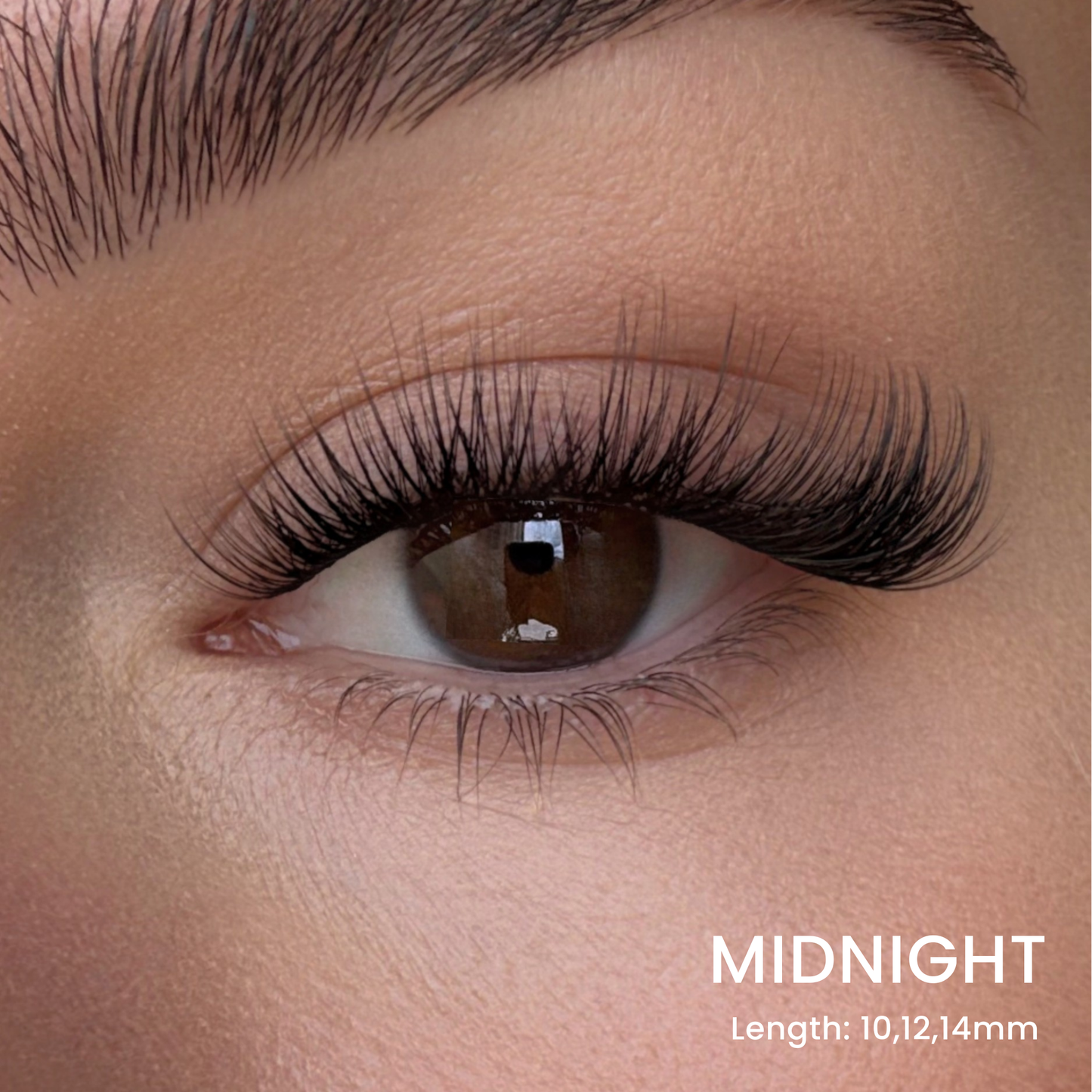 Volumen-Wimpern