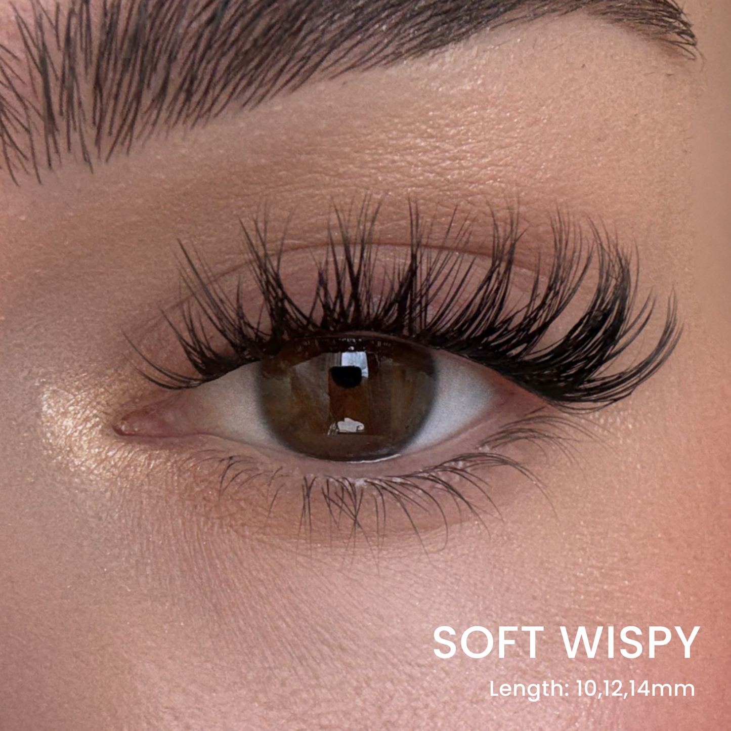 Volumen-Wimpern