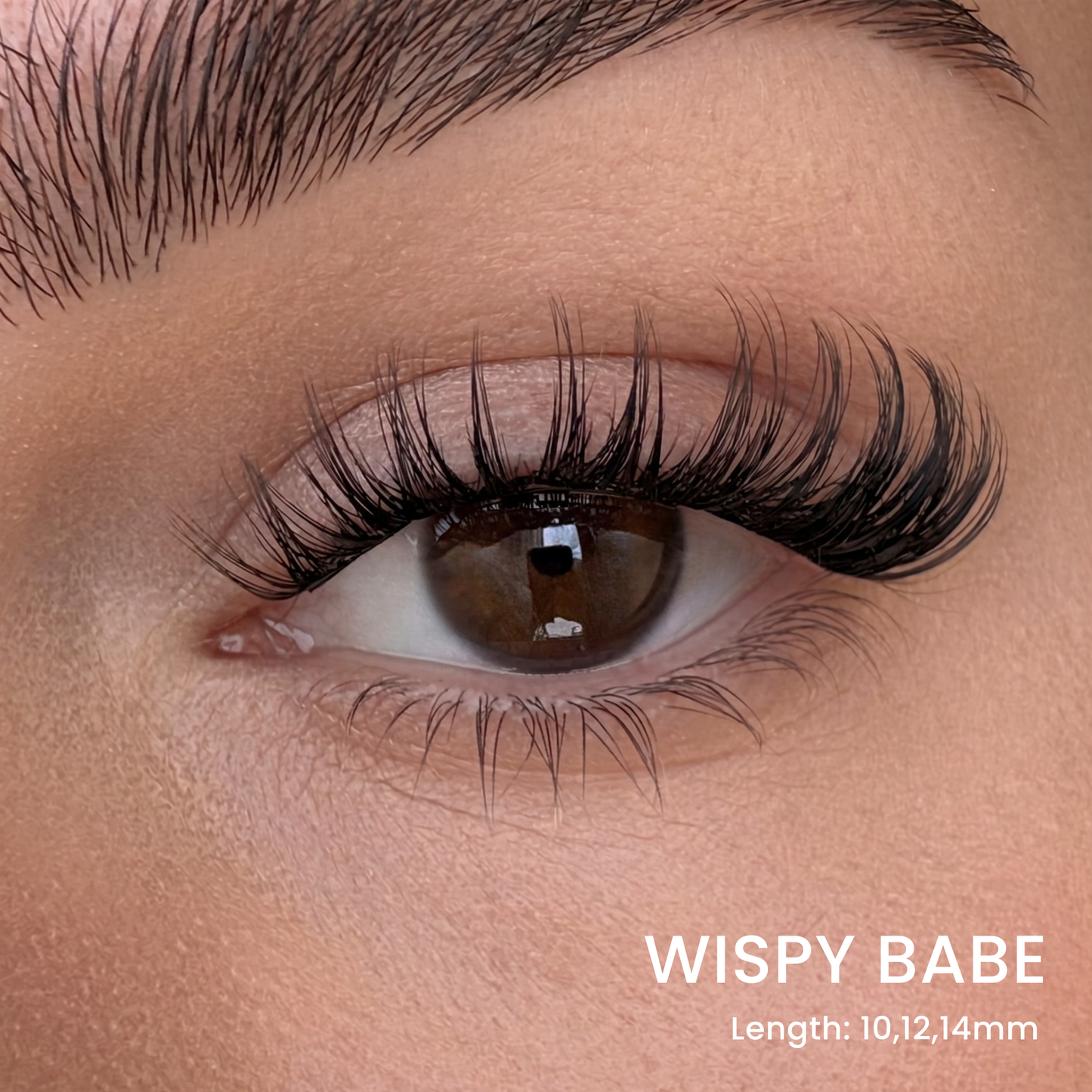 Volumen-Wimpern