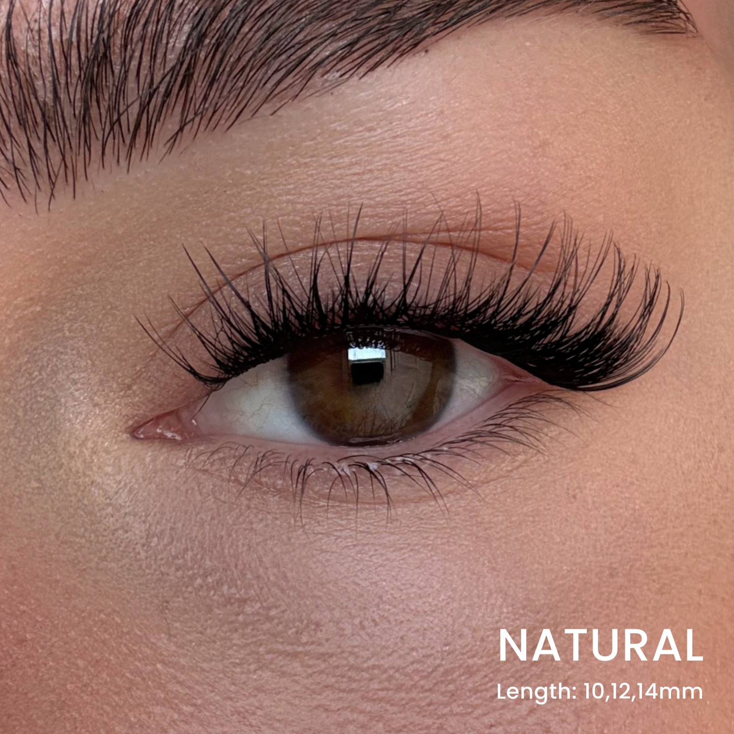 Volumen-Wimpern