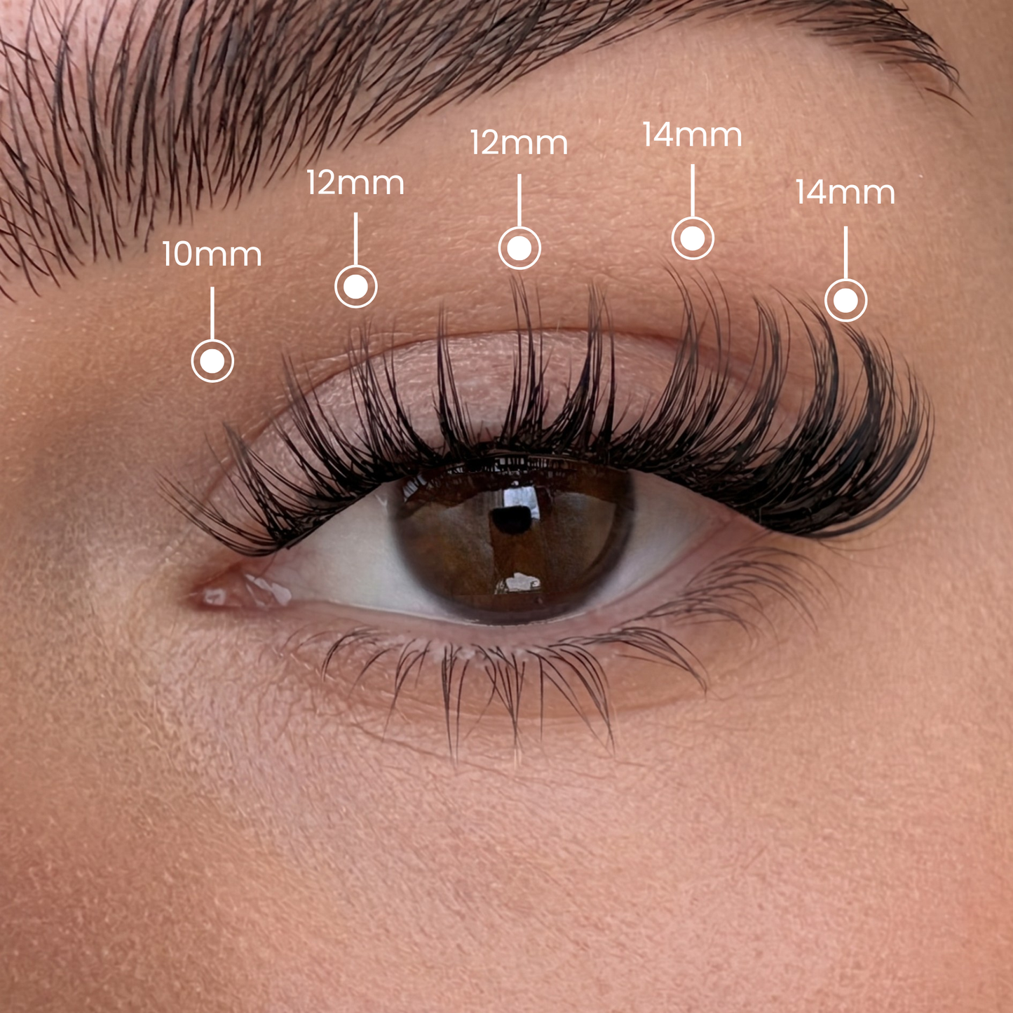 Volumen-Wimpern